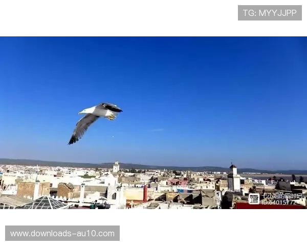 世界帆船锦标赛摩洛哥场地勘察,强风考验成变数